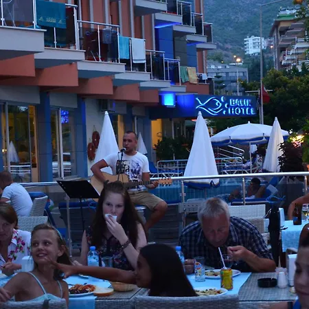 酒店 Kleopatra Balik 3*